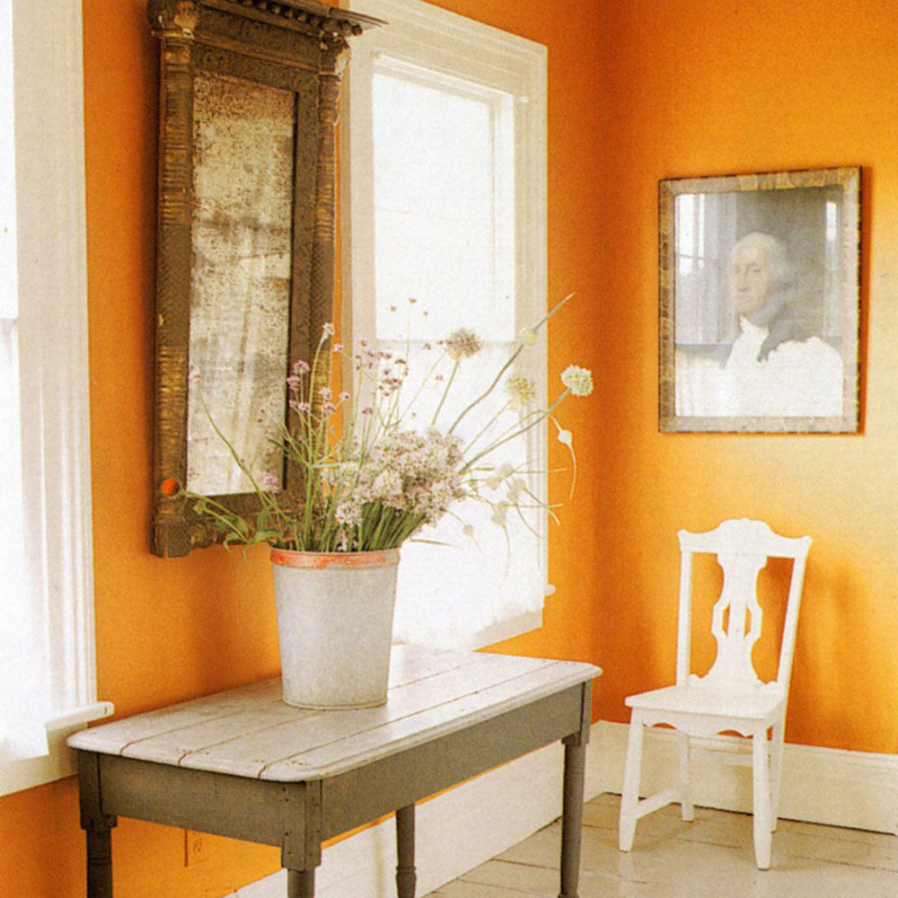 Bright tropical colors often work in contrast to dark warm floors and trim.